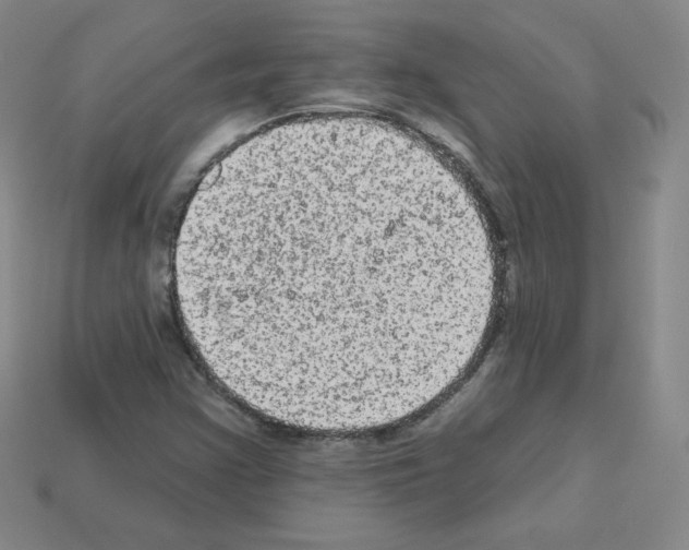 X0000112781355200910011249