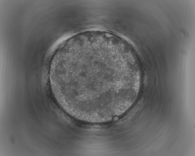 X0000112781359200910011249