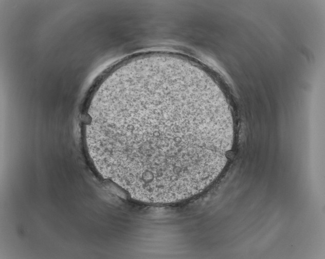 X0000112781360200910011249