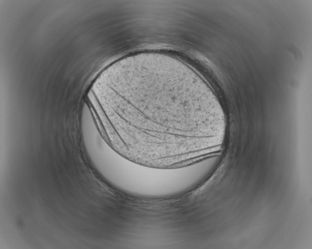 X0000112781361200910011249