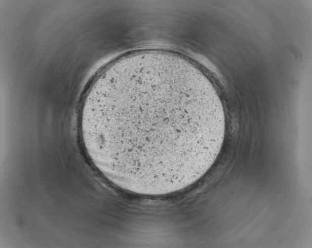 X0000112781364200910011249