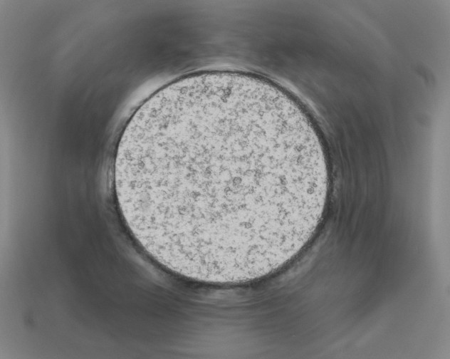 X0000112781367200910011248