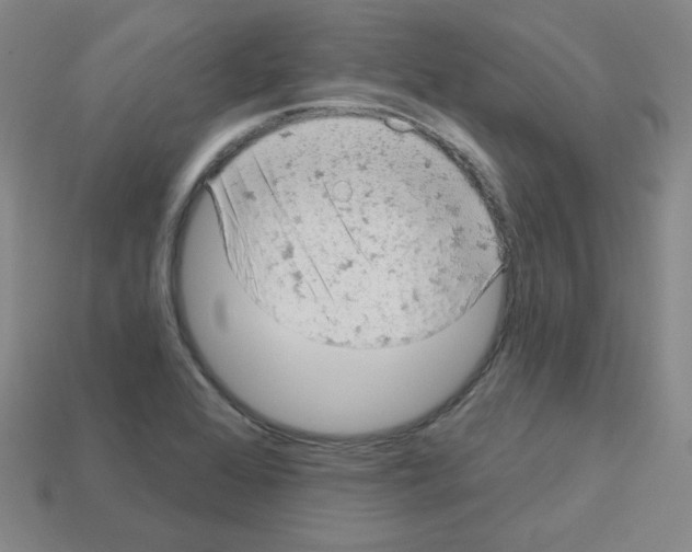 X0000112781368200910011248