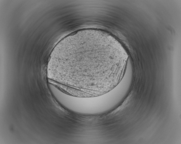 X0000112781369200910011248