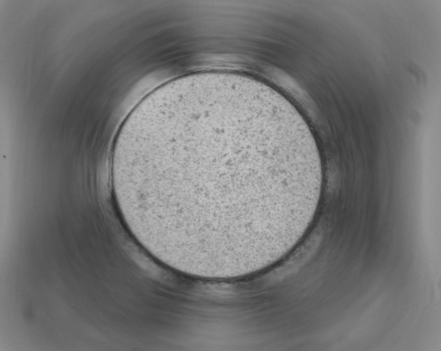 X0000112781370200910011248