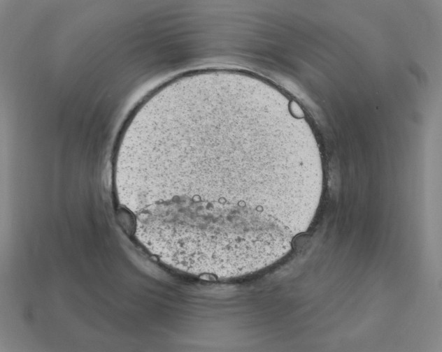 X0000112781372200910011248