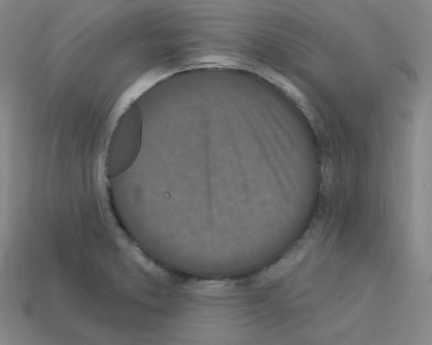 X0000112781373200910011248