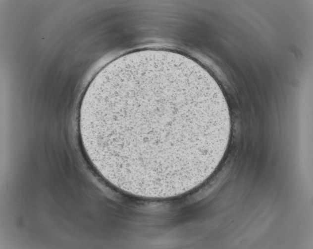 X0000112781375200910011248