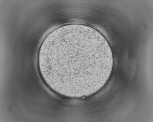 X0000112781379200910011248