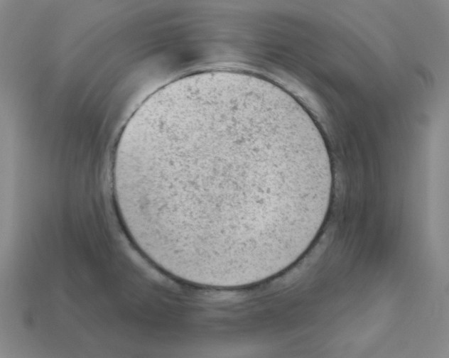 X0000112781382200910011248