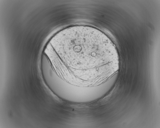 X0000112781384200910011248