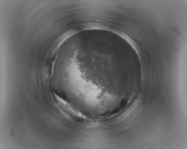 X0000112781385200910011248