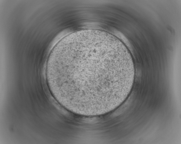 X0000112781386200910011248