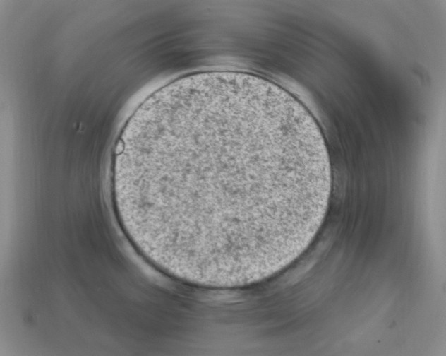 X0000112781387200910011248