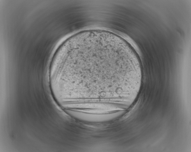 X0000112781388200910011248