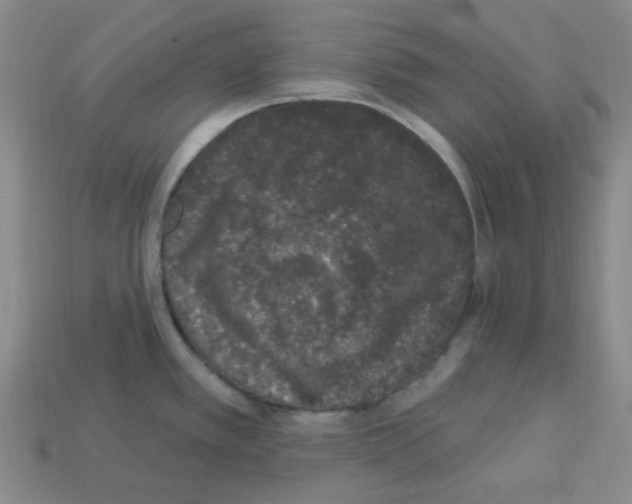 X0000112781389200910011248