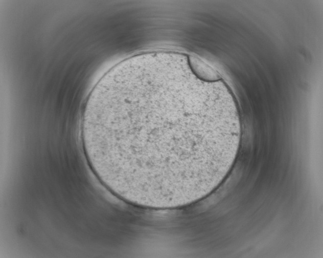 X0000112781390200910011248