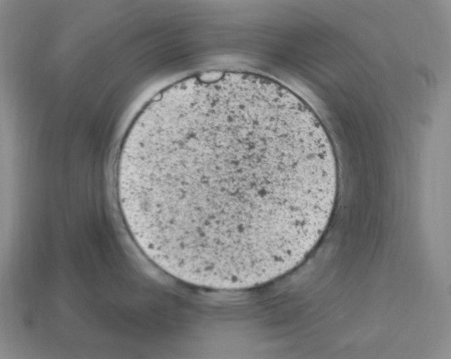 X0000112781392200910011248