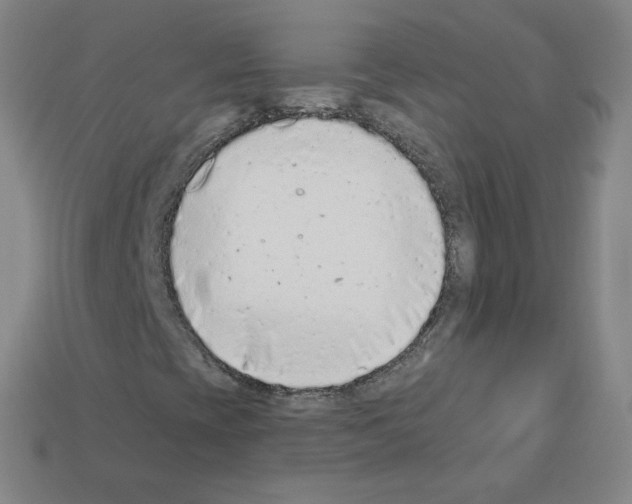 X0000112781393200910011248