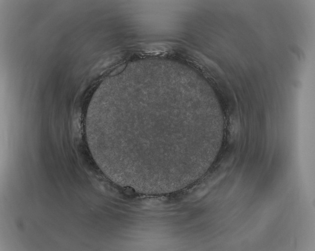 X0000112781394200910011248