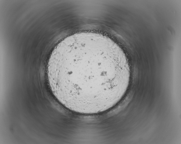 X0000112781401200910011248