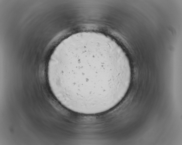 X0000112781403200910011248