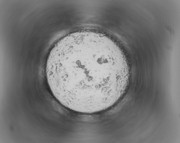 X0000112781405200910011248