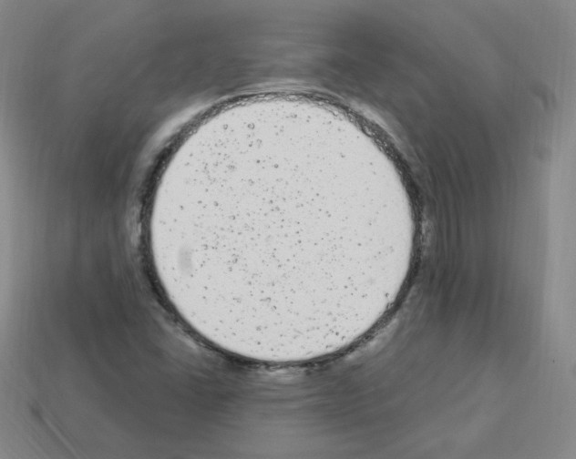 X0000112781406200910011248