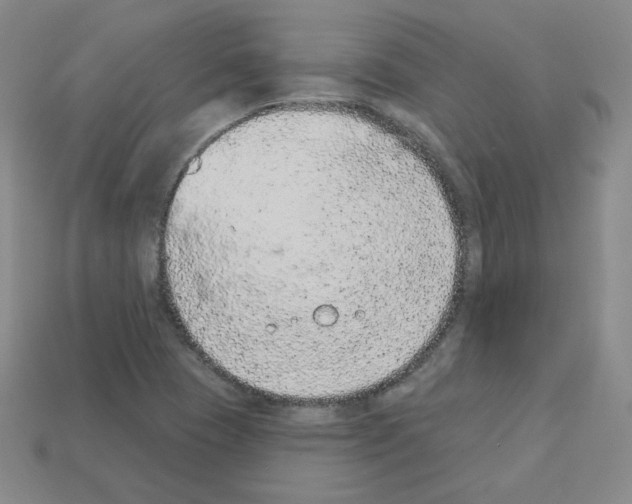 X0000112781409200910011248