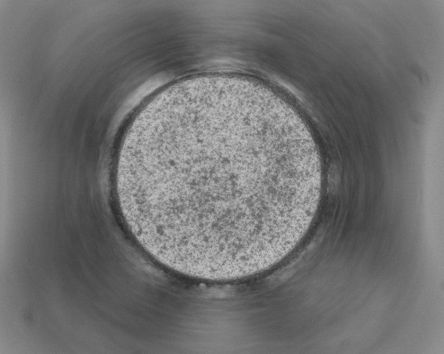 X0000112781410200910011248