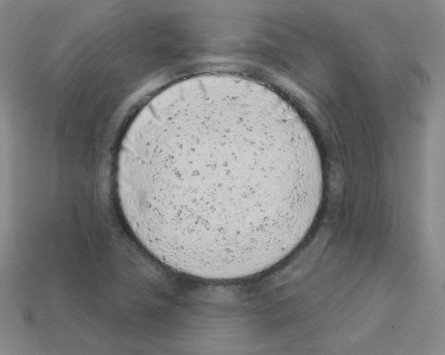 X0000112781411200910011248