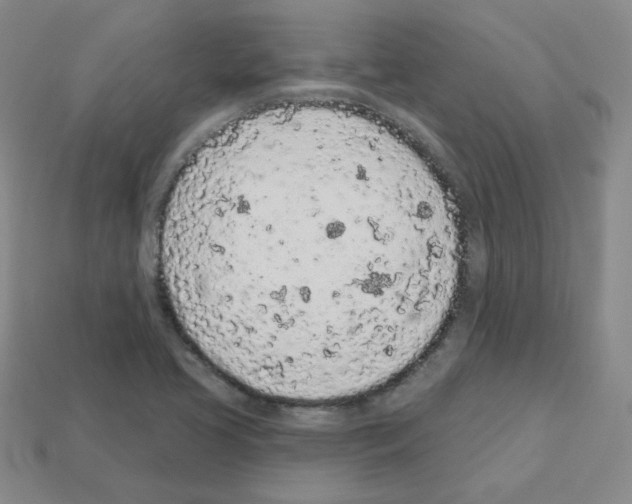 X0000112781413200910011248