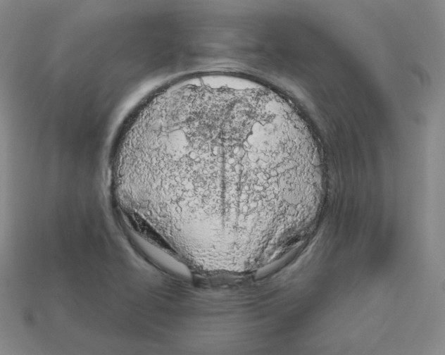 X0000112781414200910011248