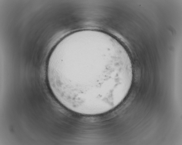 X0000112781415200910011248