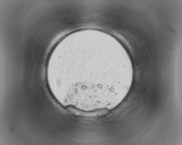 X0000112781416200910011248