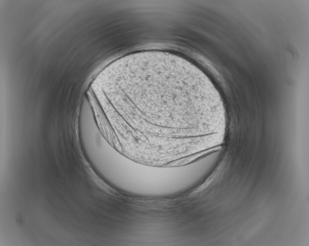 X0000112781417200910011248