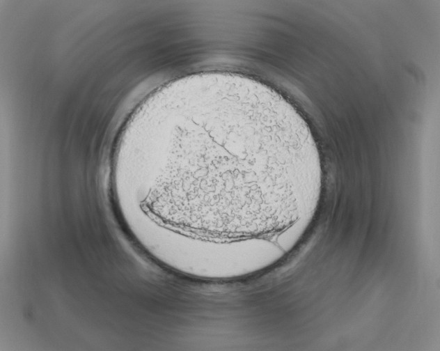 X0000112781418200910011248