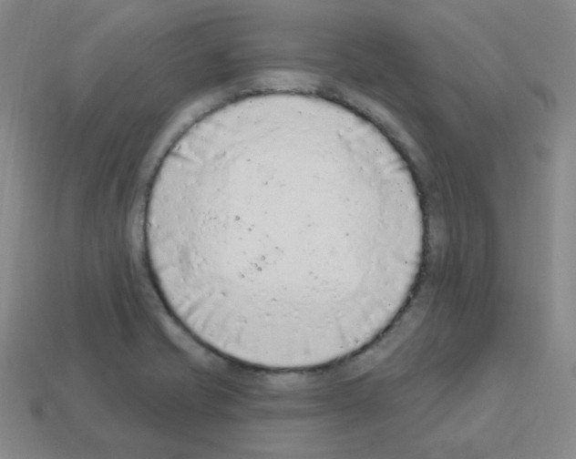 X0000112781421200910011248