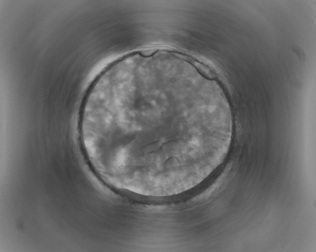 X0000112781422200910011248