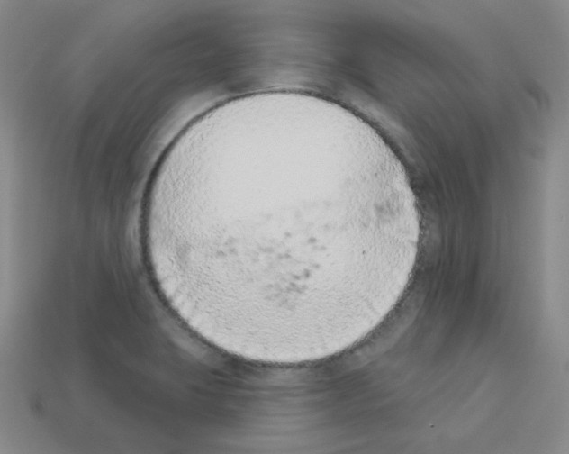 X0000112781423200910011248