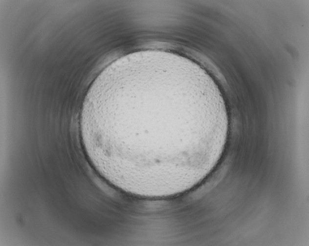 X0000112781425200910011248