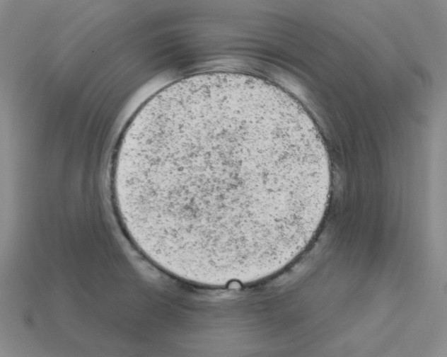 X0000112781426200910011248