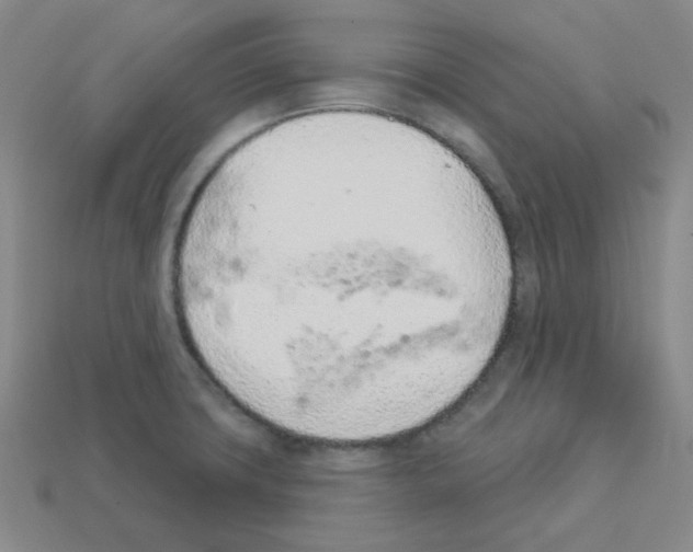 X0000112781427200910011248