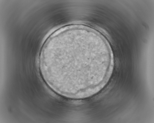 X0000112781428200910011248