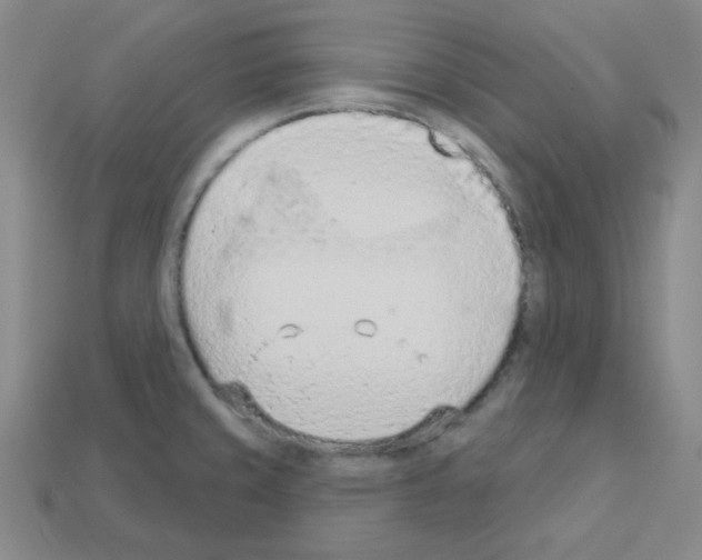 X0000112781429200910011248