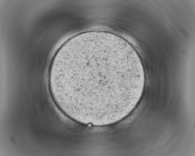 X0000112781430200910011248