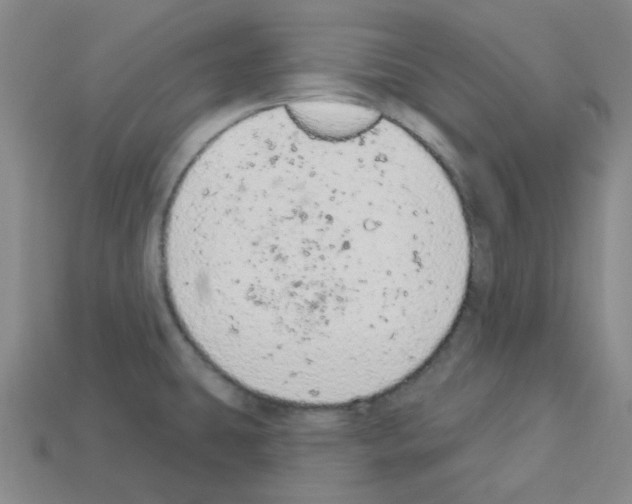 X0000112781431200910011248