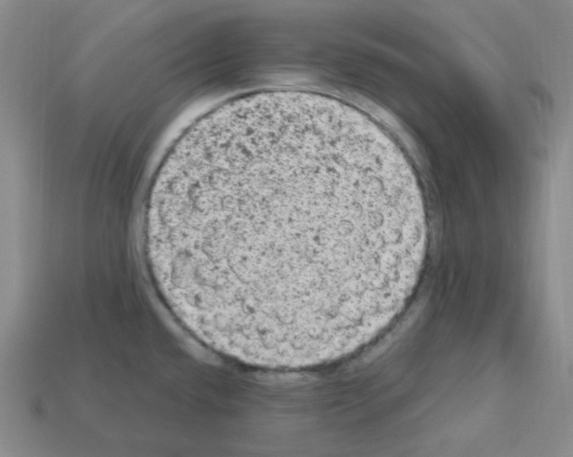 X0000112781432200910011248