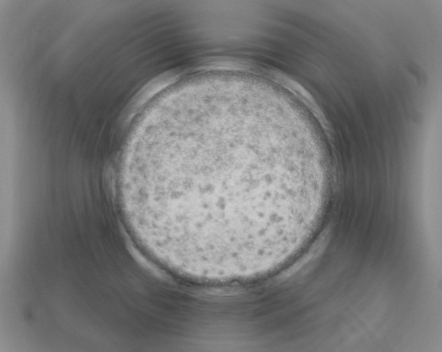 X0000112781433200910011248