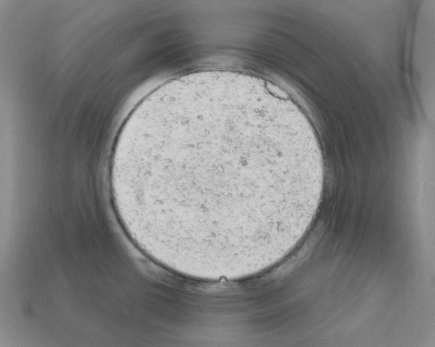 X0000112781434200910011248